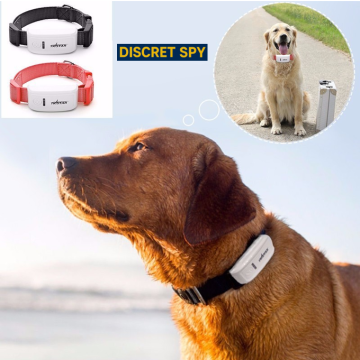 GPS Tracker pentru caini / animale TK909