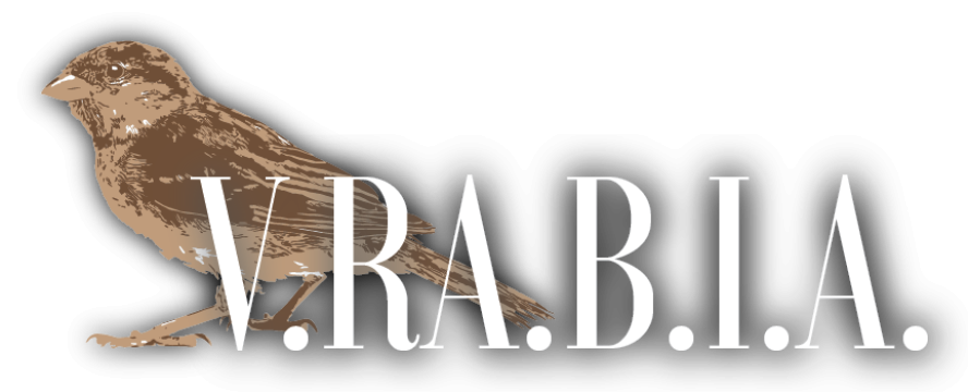 Expertize tehnice judiciare si extrajudiciare de la Birou De Arhitectura Raduna Veronica