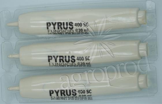 Fungicid Pyrus 400SC 20ml de la Magreen Srl