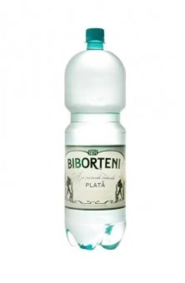 Apa minerarala naturala plata Biborteni 2L, SGR de la Supermarket Pentru Tine Srl