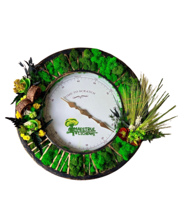 Ceas vintage multicolor 5 cu licheni naturali de la Academart World Design Srl
