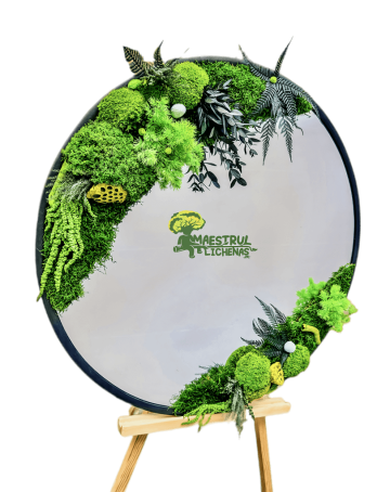 Oglinda decorata cu muschi naturali de la Academart World Design Srl