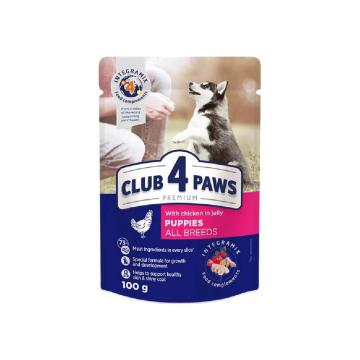 Hrana caini Club 4 Paws dog plic junior puppies cu pui 100g de la Club4Paws Srl