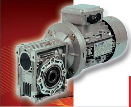 Motoreductor electric trifazat