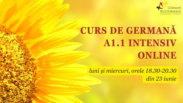 Curs online limba germana nivel A11 de la Sc Kinder Kulturhaus Srl