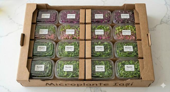 Pachet Microplante Iasi Detox si Digestie