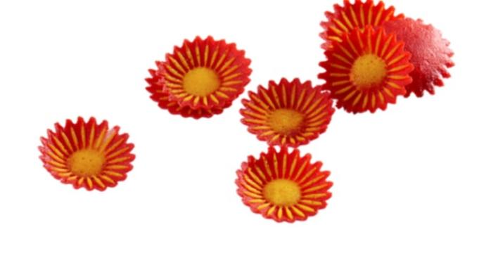 Flori comestibile Iasi de la Microplante Iasi