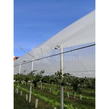 Folie solar difuza Pati Di Lite 180 microni 6,5 m de la Green Garden Srl