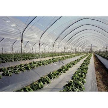 Fulie mulch 100% biodegradabila 1,2m x 1310m de la Green Garden Srl