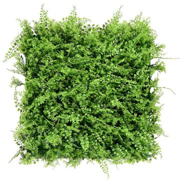 Perete verde din plastic cu feriga salbatica 50x50 cm