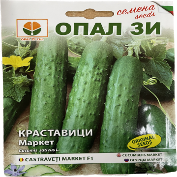 Seminte castraveti Market F1 2 gr, OpalZi Bulgaria