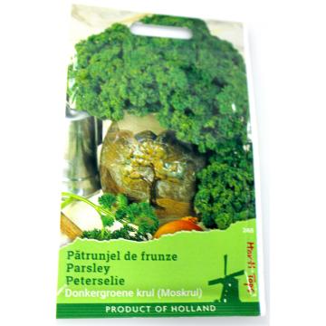 Seminte patrunjel cret Moskrul 5 gr, Holland de la Loredo Srl