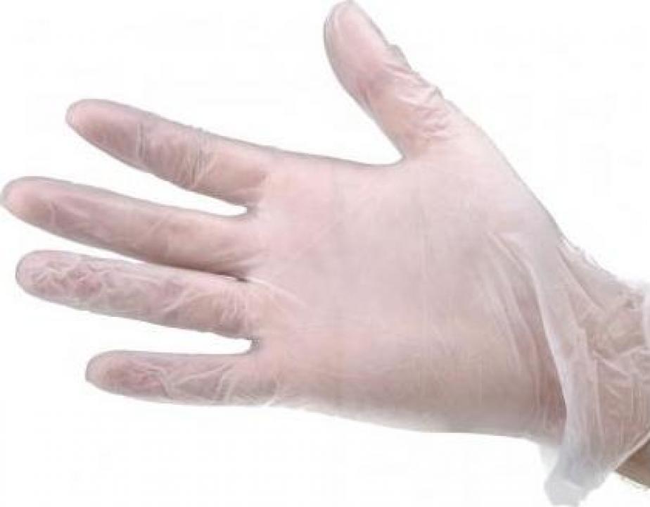 Manusi Latex Fara Pudra Pentru Manichiura Bucuresti Preturi